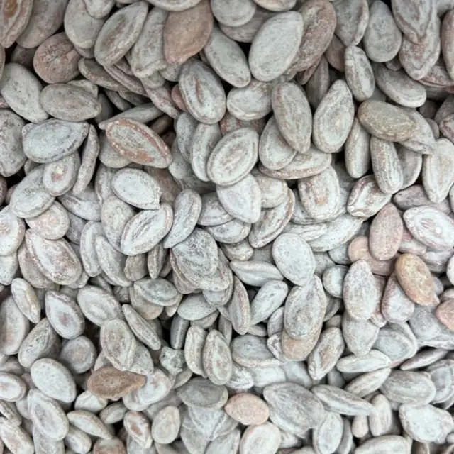Apricot kernels, نوى المشمش