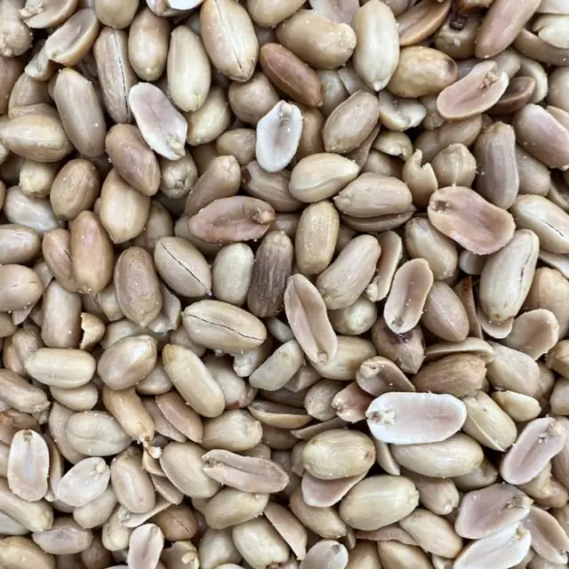 Blanched peanuts, فول سوداني مقشر