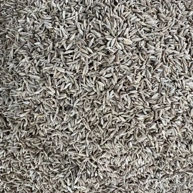 Cumin seeds, بذور الكمون