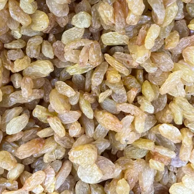 Golden raisins, زبيب ذهبي