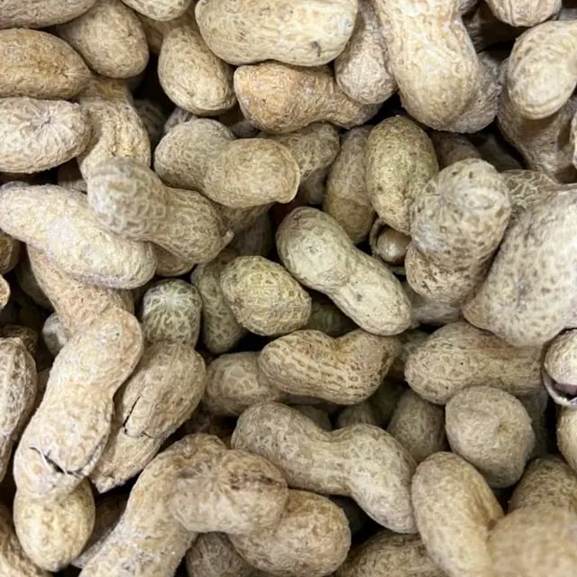 Peanuts in shell, فول سوداني بالقشر