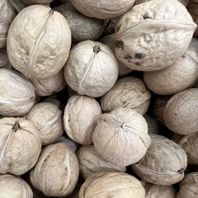 Walnuts in shell, جوز بالقشر